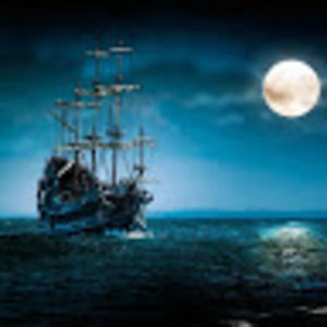 Meet your Posher, Henry